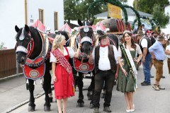 BAN17386_Bildgroesse-aendern