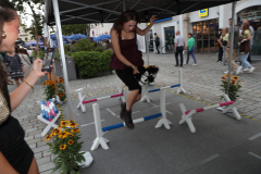 BAN25122_Bildgroesse-aendern