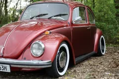 R5II1342_Bildgroesse-aendern