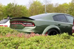 R5II1399_Bildgroesse-aendern