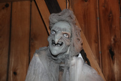 BAN27631_Bildgroesse-aendern