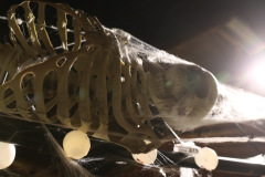 BAN27676_Bildgroesse-aendern