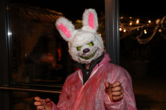 BAN27703_Bildgroesse-aendern