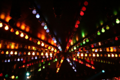 2005052756