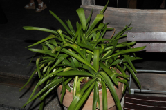 BAN25777_Bildgroesse-aendern