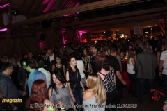 mini-IMG_8534