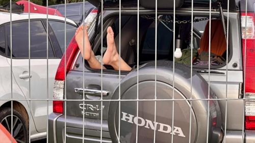 Gäste Electric Love 2024-60